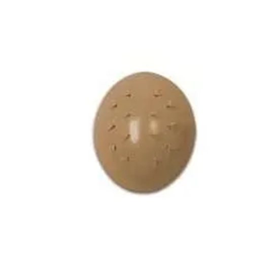 Picture of Oval Perforated Flesh Eye Caps - Large - Pack of 250